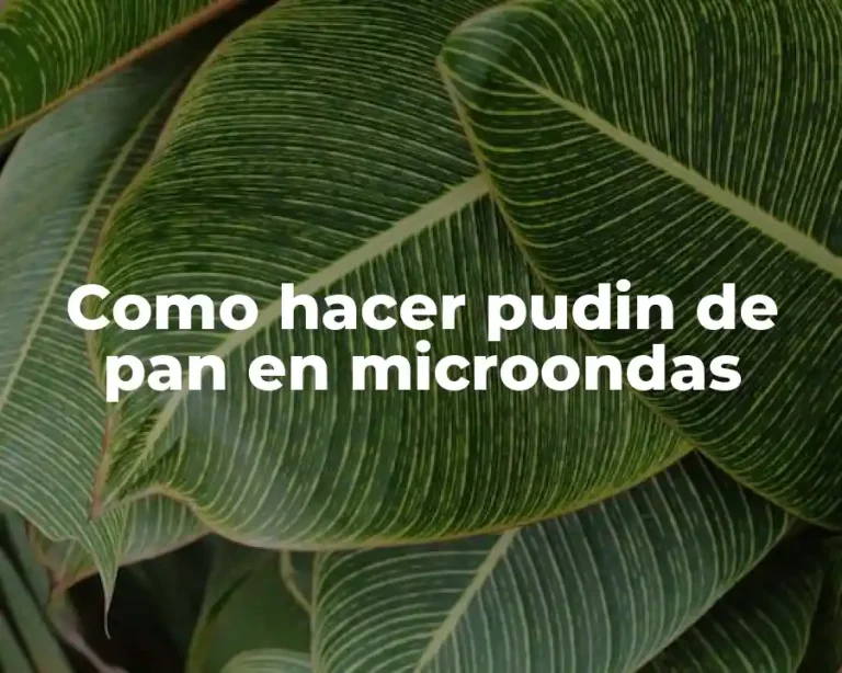 Como hacer pudin de pan en microondas
