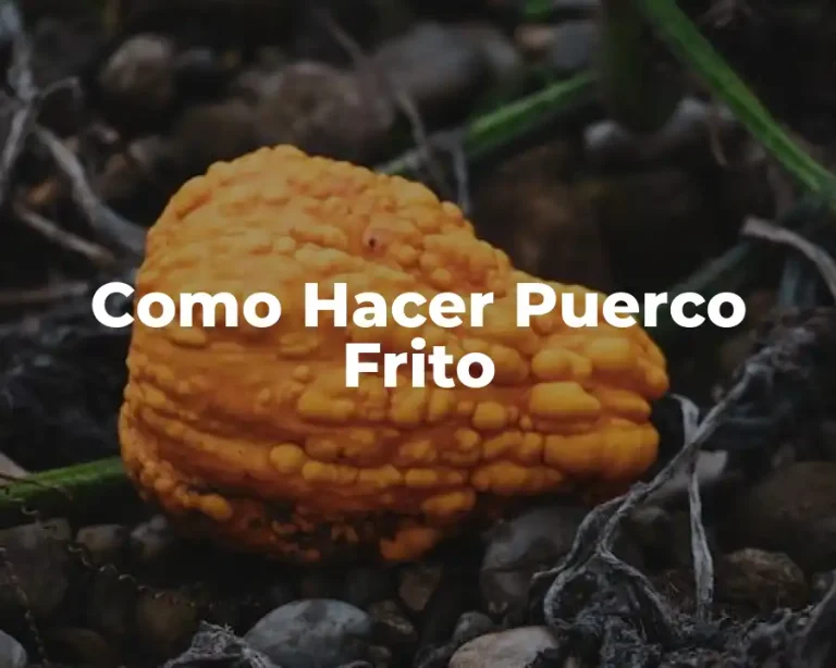Como Hacer Puerco Frito