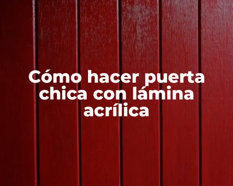 Cómo hacer puerta chica con lámina acrílica