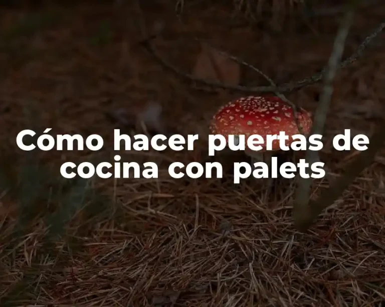 Cómo hacer puertas de cocina con palets