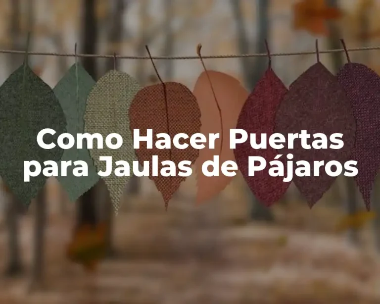 Como Hacer Puertas para Jaulas de Pájaros