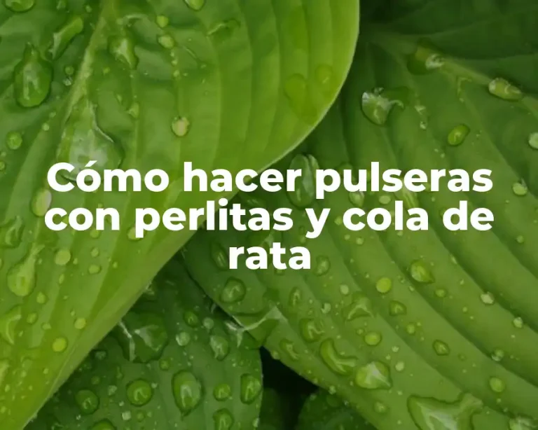 Cómo hacer pulseras con perlitas y cola de rata