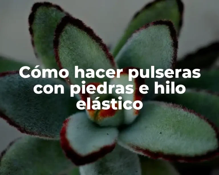 Cómo hacer pulseras con piedras e hilo elástico