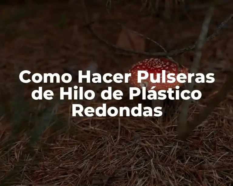 Como Hacer Pulseras de Hilo de Plástico Redondas