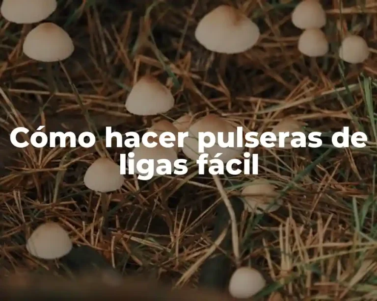 Cómo hacer pulseras de ligas fácil