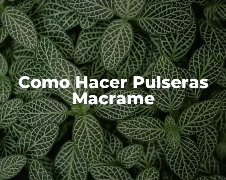 Como Hacer Pulseras Macrame