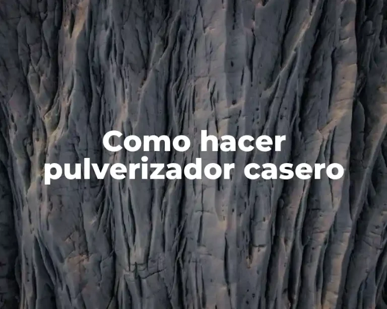 Como hacer pulverizador casero