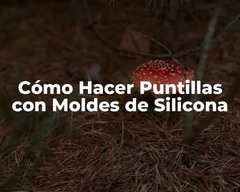 Cómo Hacer Puntillas con Moldes de Silicona
