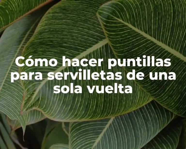 Cómo hacer puntillas para servilletas de una sola vuelta