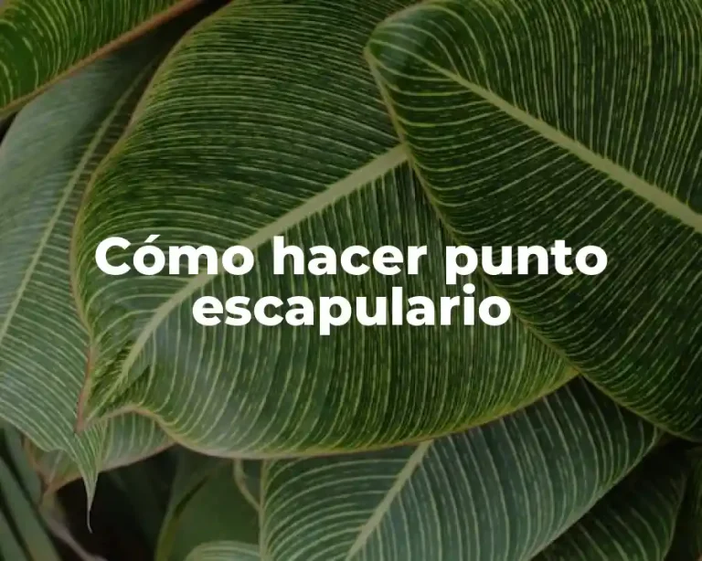 Cómo hacer punto escapulario