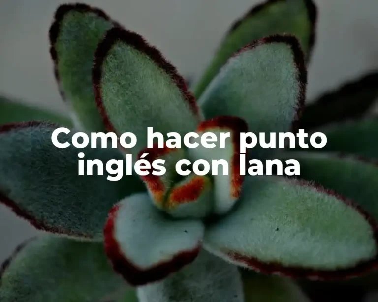 Como hacer punto inglés con lana