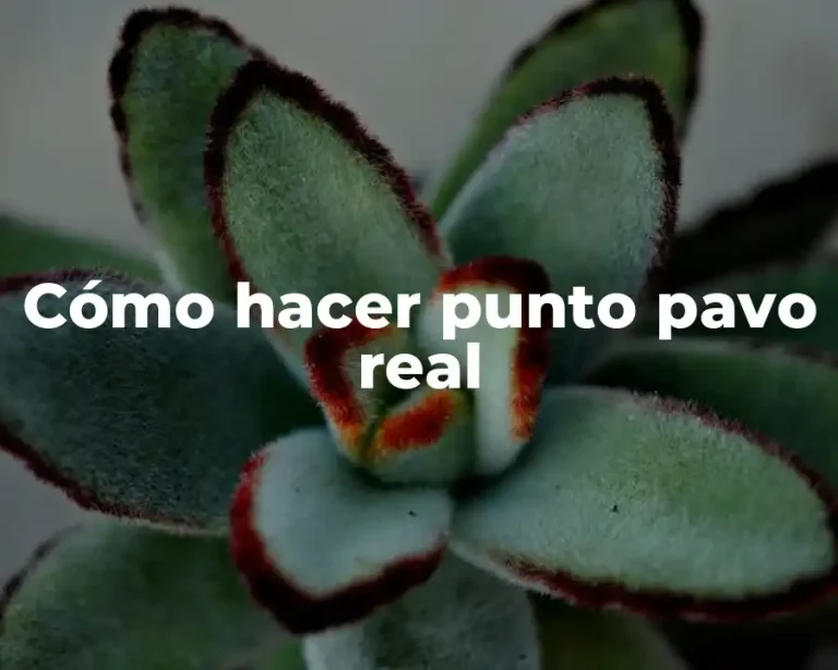 Cómo hacer punto pavo real