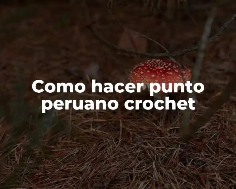 Como hacer punto peruano crochet