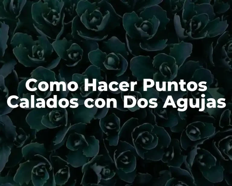Como Hacer Puntos Calados con Dos Agujas