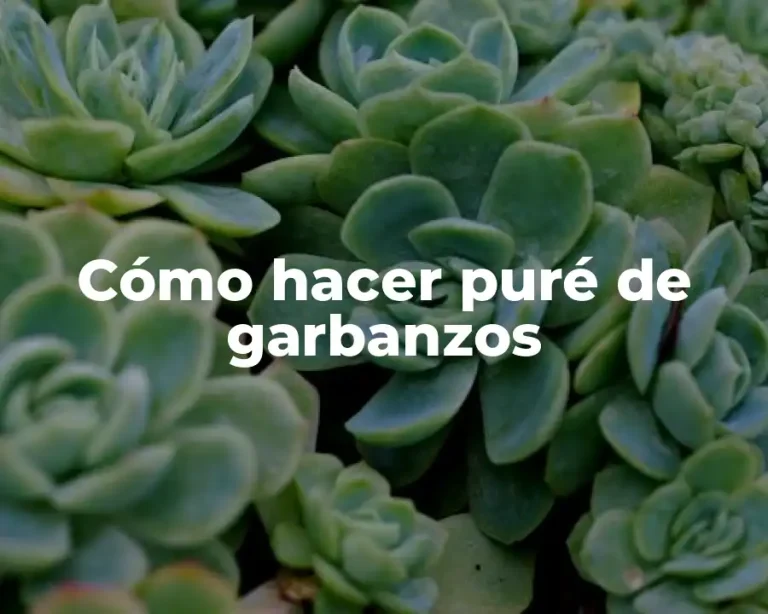 Cómo hacer puré de garbanzos