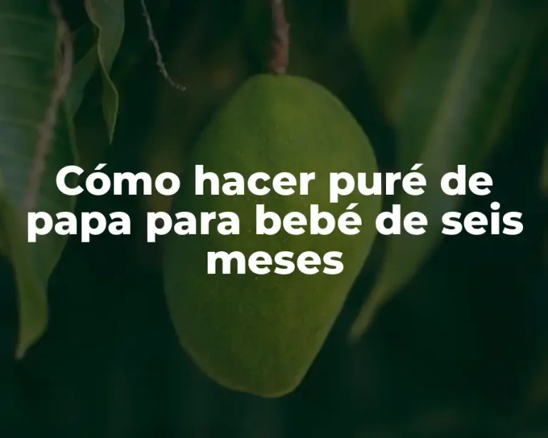 Cómo hacer puré de papa para bebé de seis meses