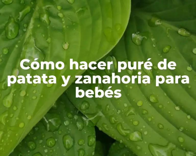 Cómo hacer puré de patata y zanahoria para bebés