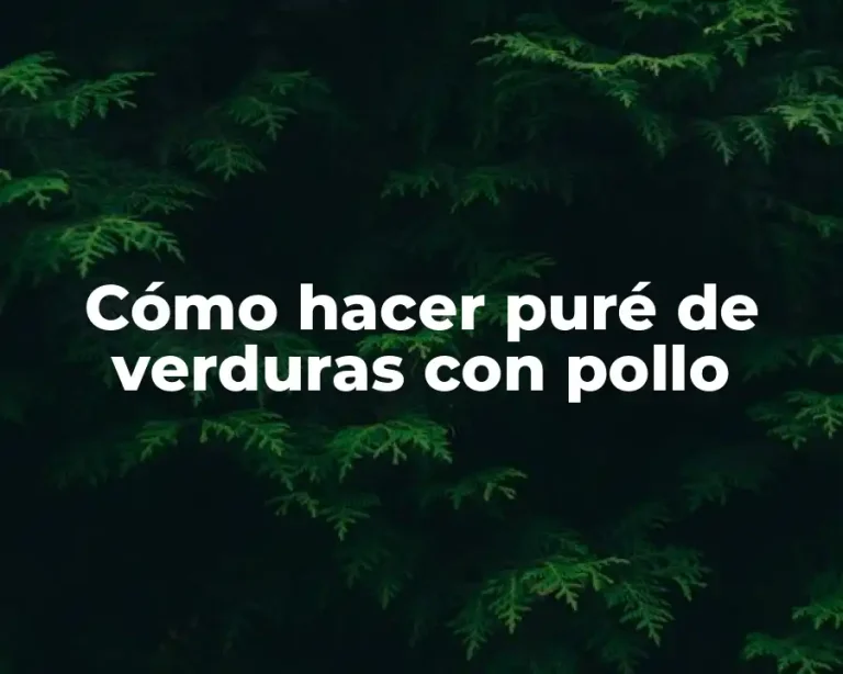 Cómo hacer puré de verduras con pollo