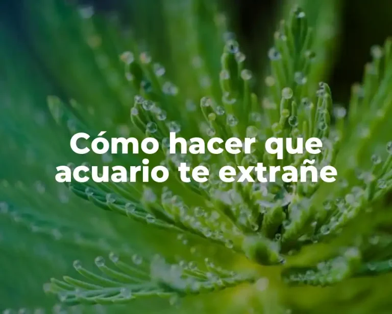 Cómo hacer que acuario te extrañe