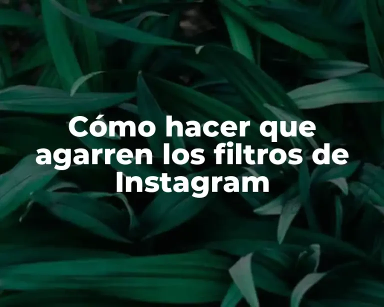 Cómo hacer que agarren los filtros de Instagram