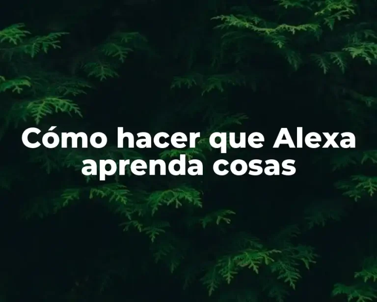 Cómo hacer que Alexa aprenda cosas