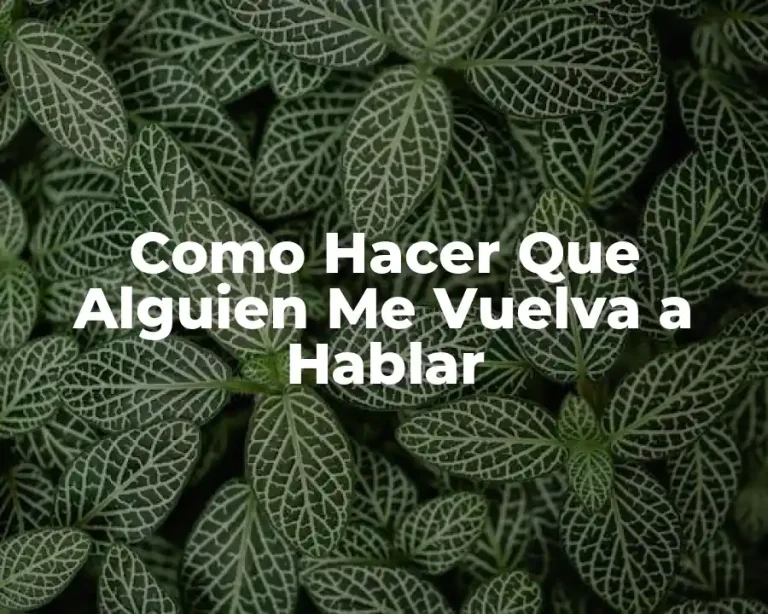 Como Hacer Que Alguien Me Vuelva a Hablar