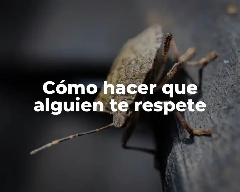 Cómo hacer que alguien te respete