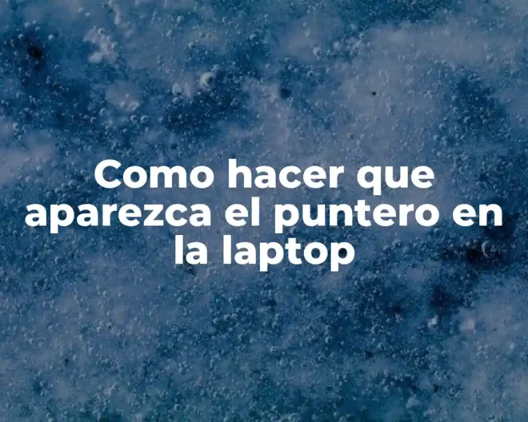 Como hacer que aparezca el puntero en la laptop