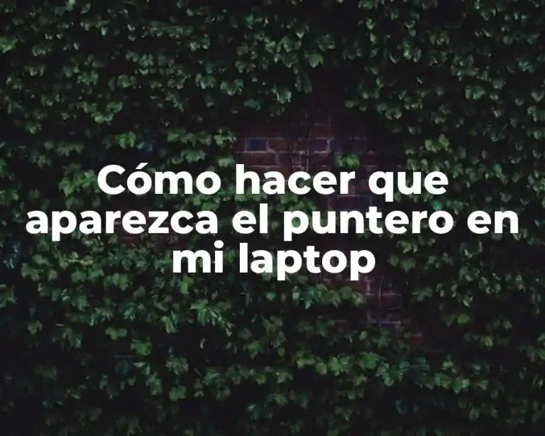 Cómo hacer que aparezca el puntero en mi laptop