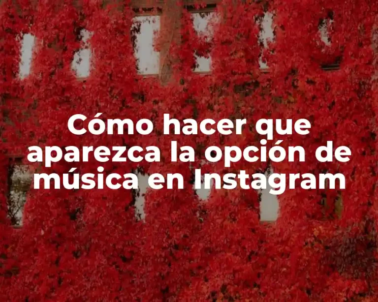 Cómo hacer que aparezca la opción de música en Instagram