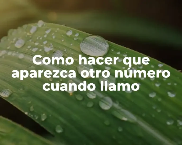 Como hacer que aparezca otro número cuando llamo