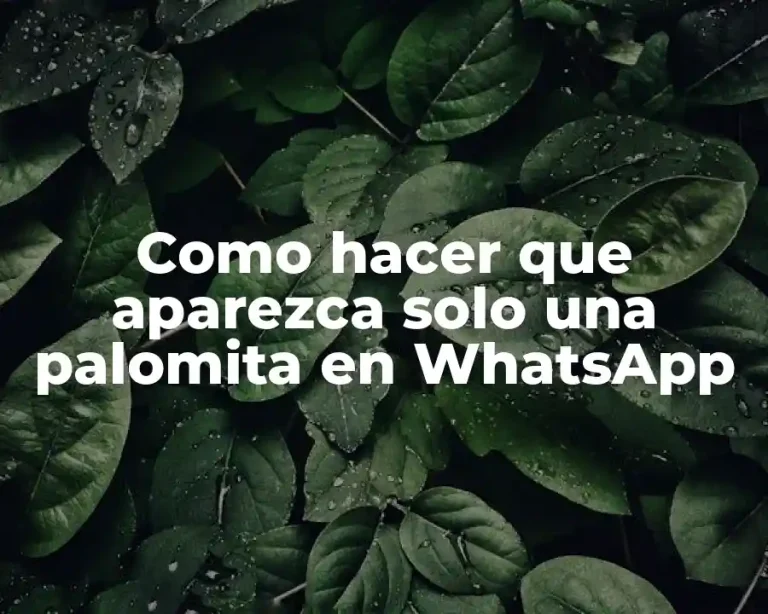 Como hacer que aparezca solo una palomita en WhatsApp