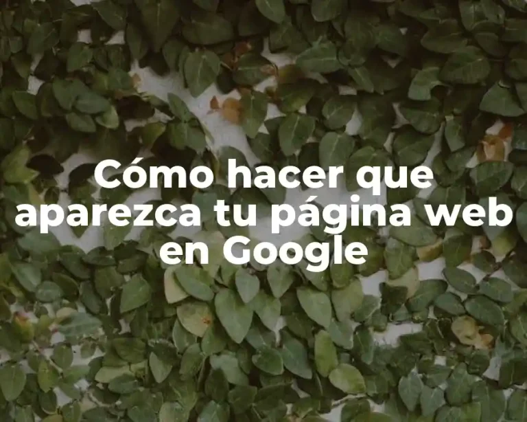 Cómo hacer que aparezca tu página web en Google