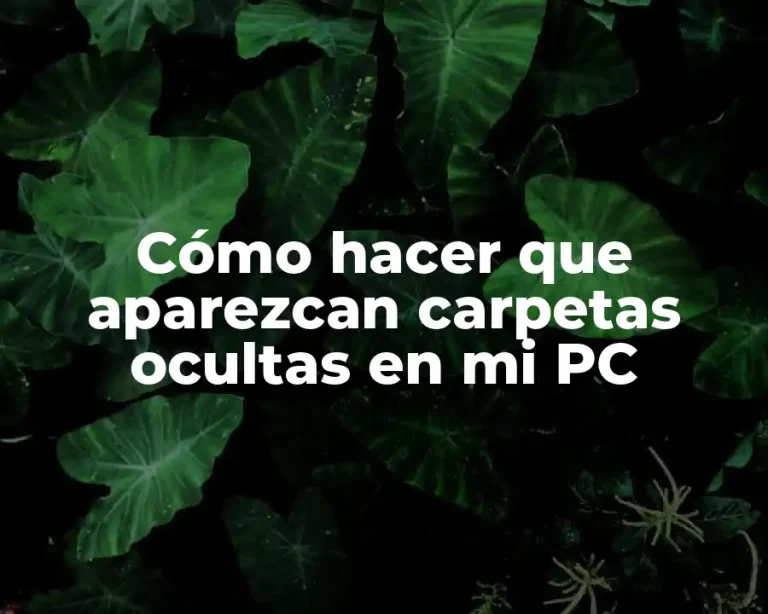 Cómo hacer que aparezcan carpetas ocultas en mi PC