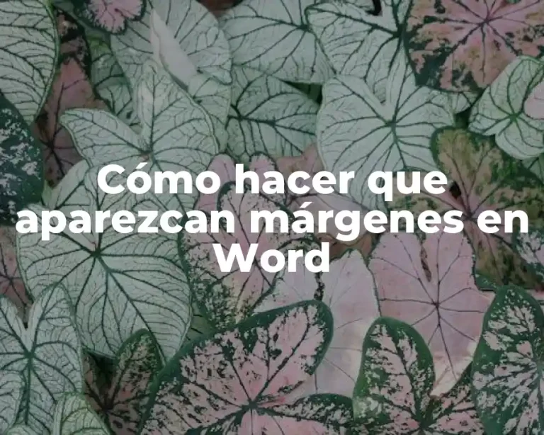 Cómo hacer que aparezcan márgenes en Word