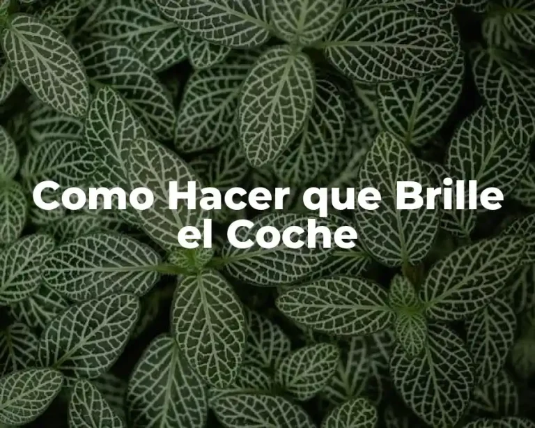 Como Hacer que Brille el Coche