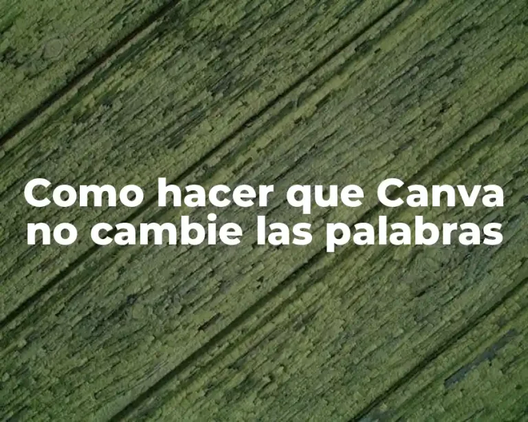 Como hacer que Canva no cambie las palabras