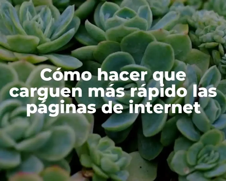 Cómo hacer que carguen más rápido las páginas de internet