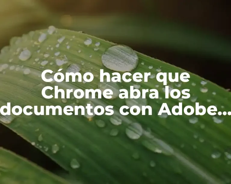 Cómo hacer que Chrome abra los documentos con Adobe Reader