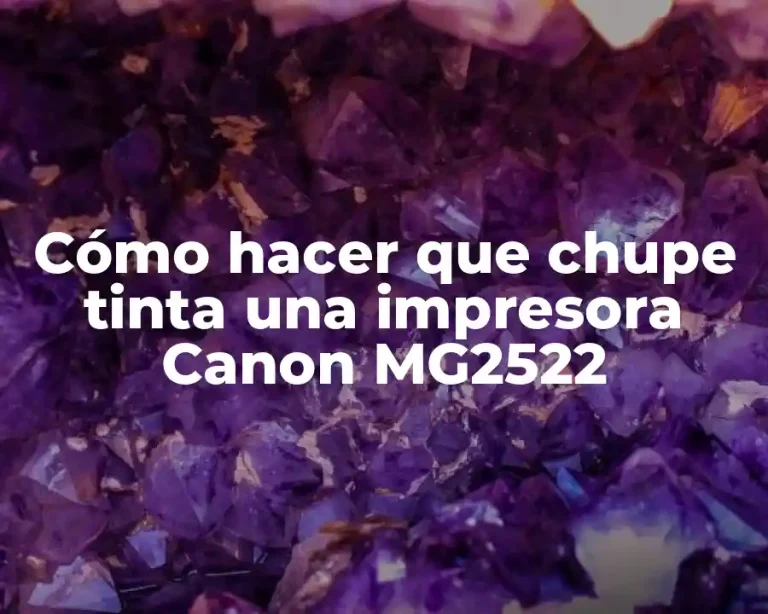 Cómo hacer que chupe tinta una impresora Canon MG2522