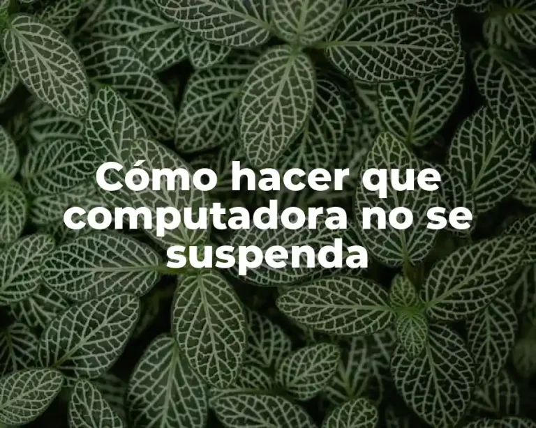Cómo hacer que computadora no se suspenda