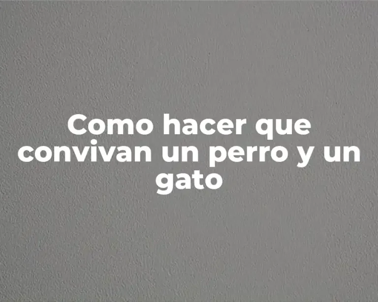 Como hacer que convivan un perro y un gato