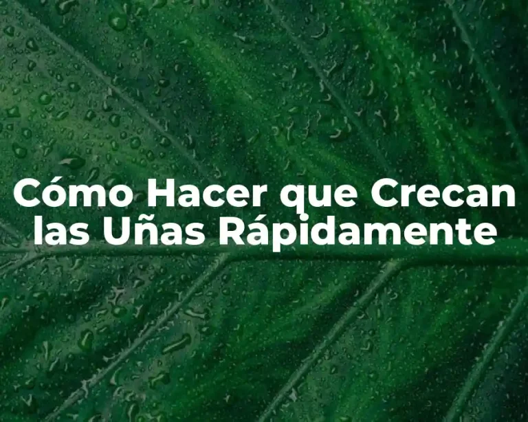 Cómo Hacer que Crecan las Uñas Rápidamente