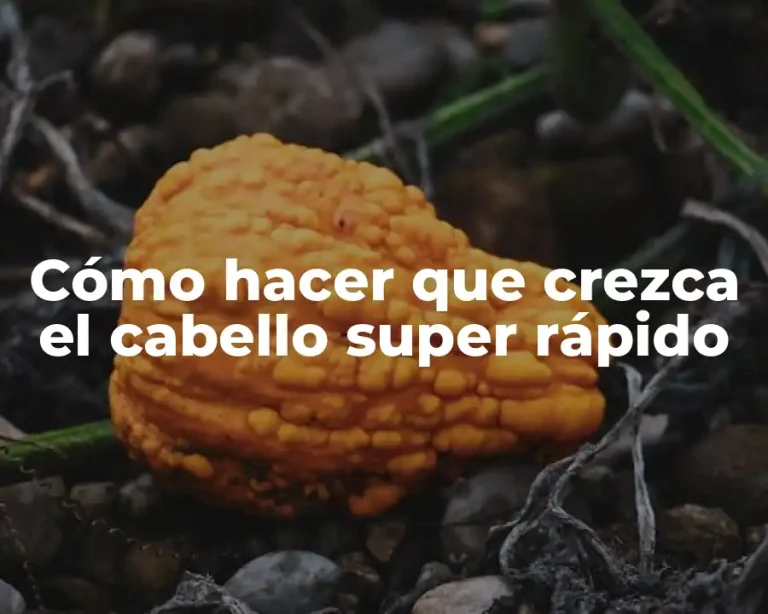 Cómo hacer que crezca el cabello super rápido