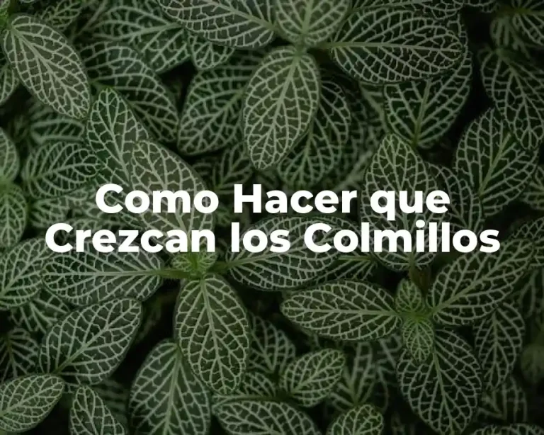 Como Hacer que Crezcan los Colmillos