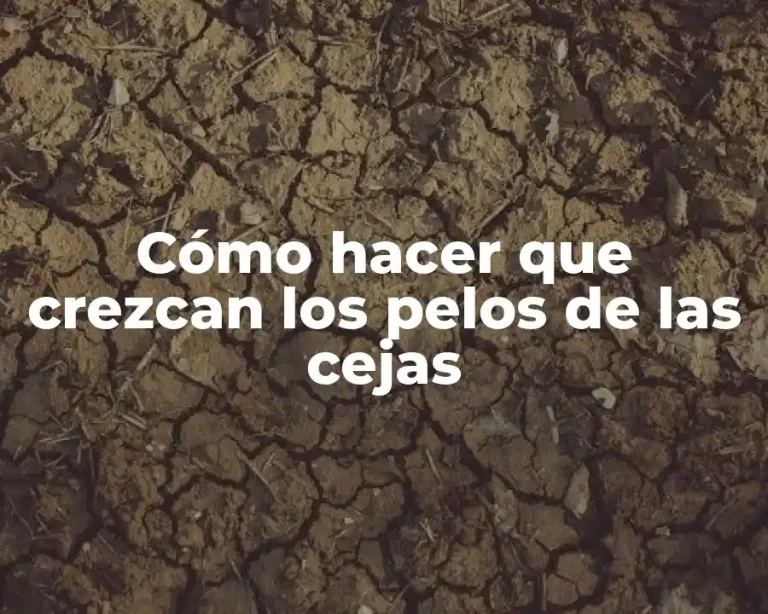 Cómo hacer que crezcan los pelos de las cejas