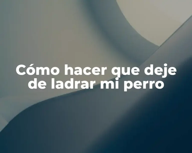 Cómo hacer que deje de ladrar mi perro