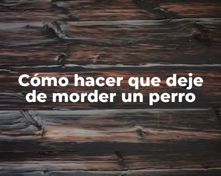 Cómo hacer que deje de morder un perro