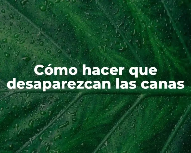 Cómo hacer que desaparezcan las canas