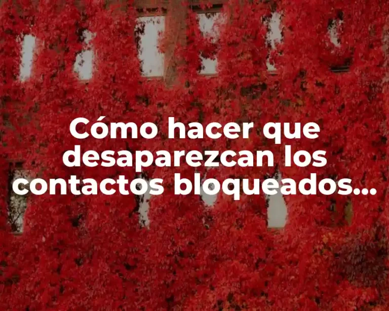 Cómo hacer que desaparezcan los contactos bloqueados en WhatsApp